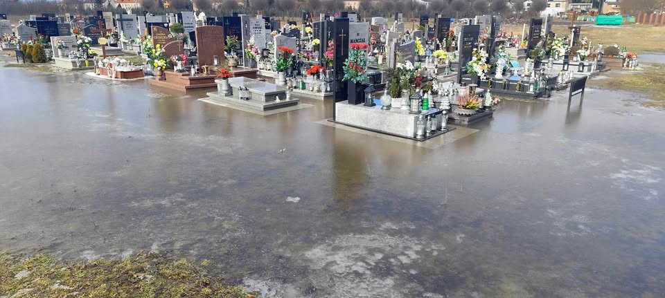 627353498 1409591697512693 3524012618603238503 n