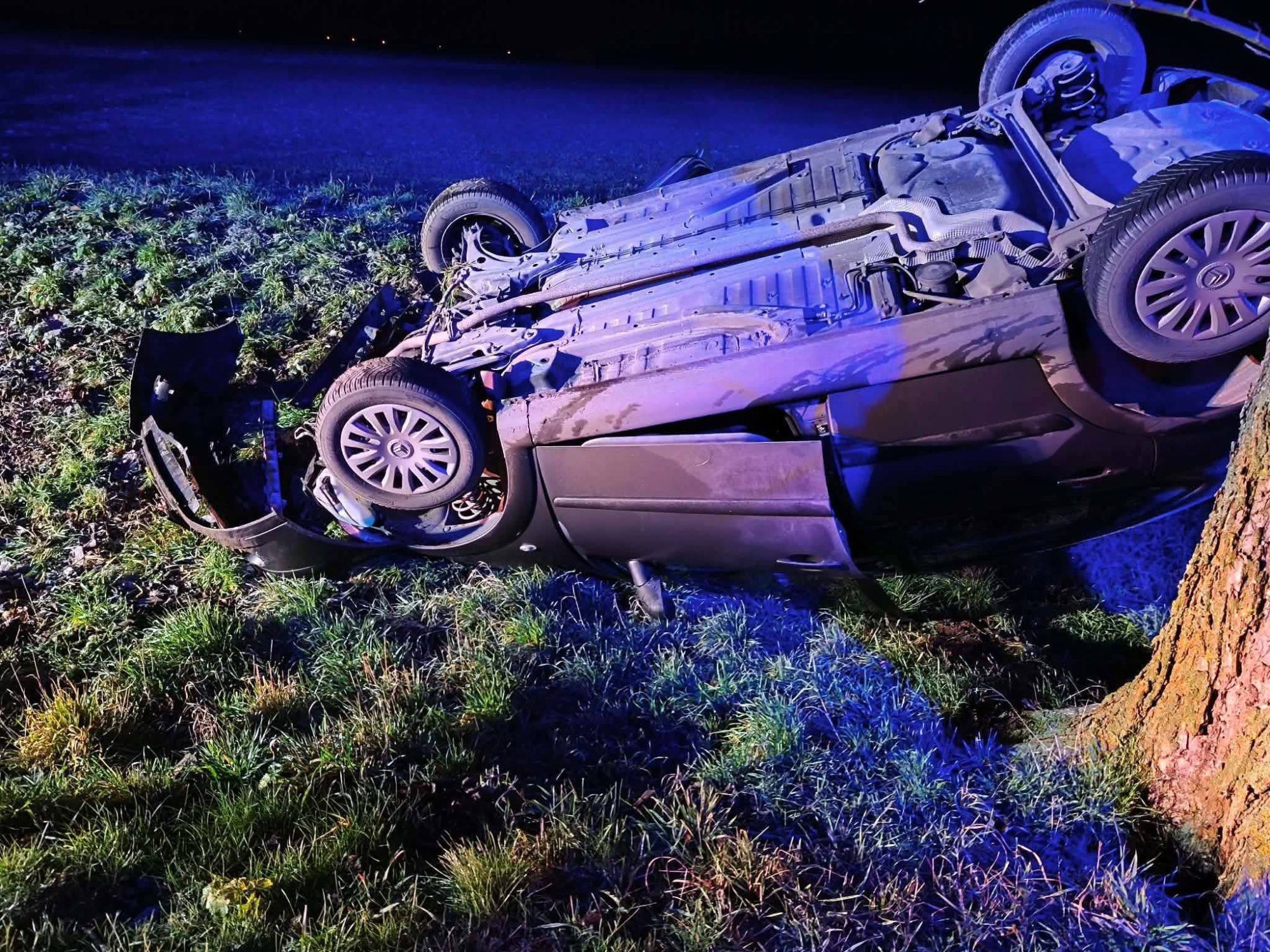 598270983 1200242925569734 3002178285998229757 n