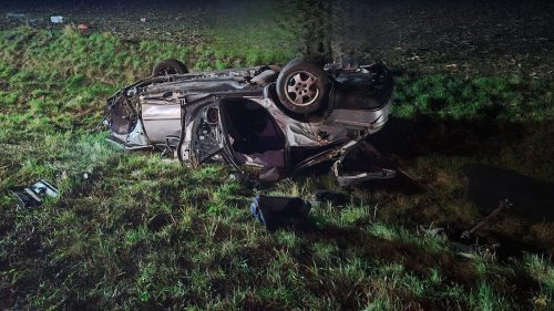 584796332 1391889995896610 5542744404184217988 n