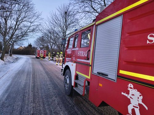 608667643 1448451777285243 4246281874787061787 n