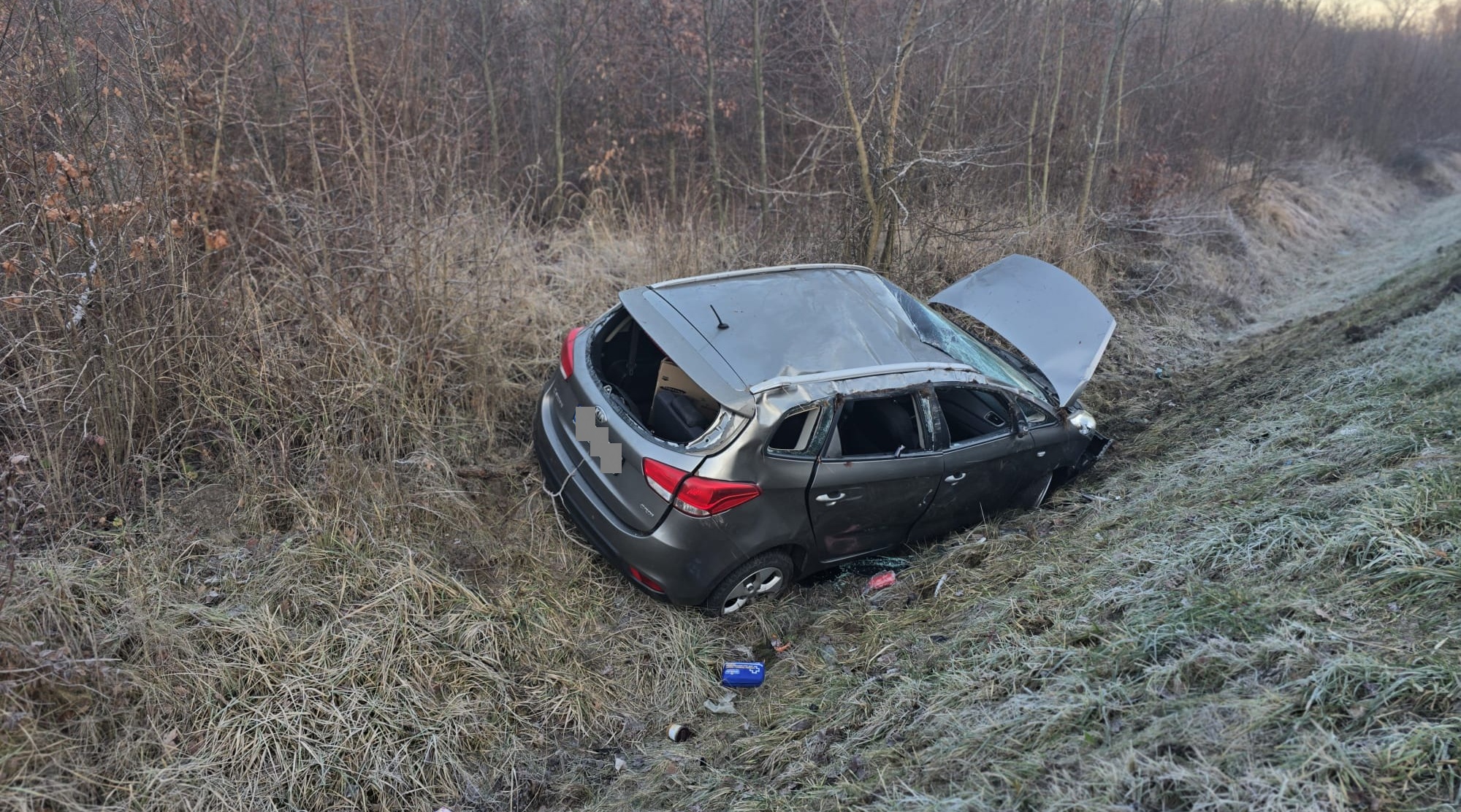 e0c4a02e-1d67-42e2-934c-9090d729c12f