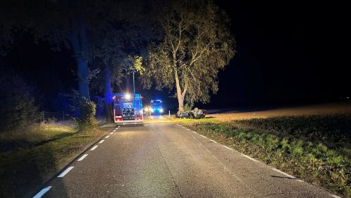 96a36d63-cca7-4793-adc1-d196edef0a53