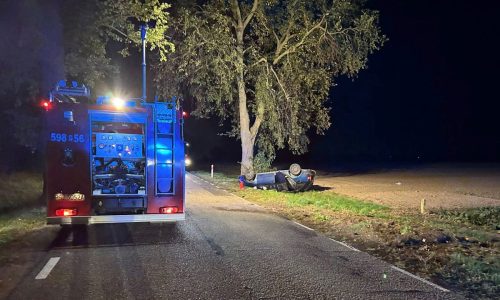 ca11bd30-4d2f-40f0-a6b2-68f0452d3af3