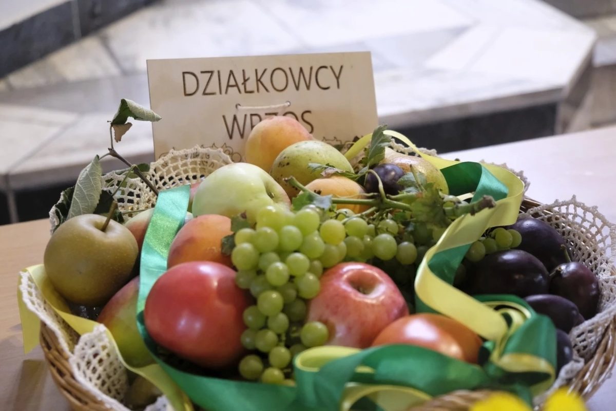 dozynki-parafialne-Pniewy-2025-0022