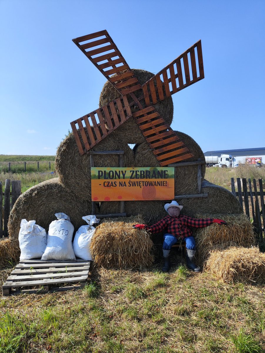 dozynki-witoldzin-przygotowania-20250031