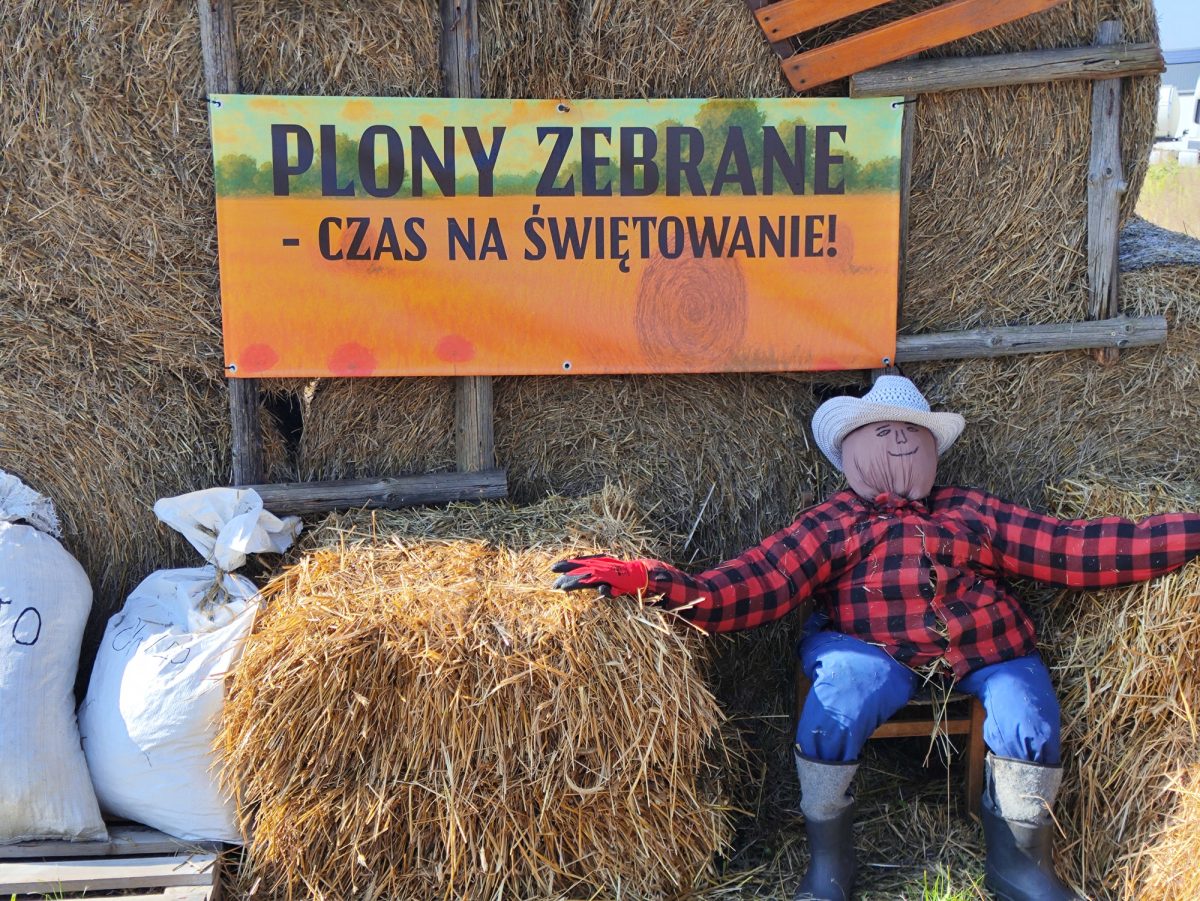 dozynki-witoldzin-przygotowania-20250032