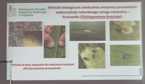 hdimg984e43490b6c8c5e43f59500e07b9d