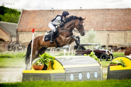 festiwal-baborowko-maj-2025-dzien30002