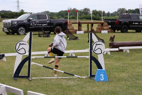 Baborowko-hobby-horse-2026-0034