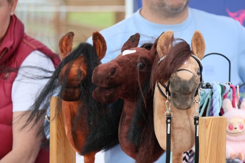 Baborowko-hobby-horse-2026-0040