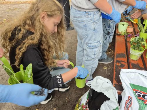 551087223 24636232869337408 3712326076770542127 n