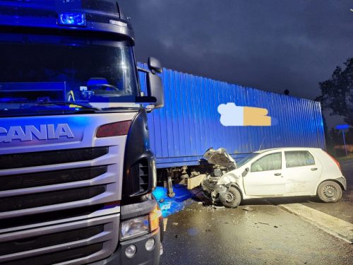 558864273 1143576727903021 2203879904096479692 n