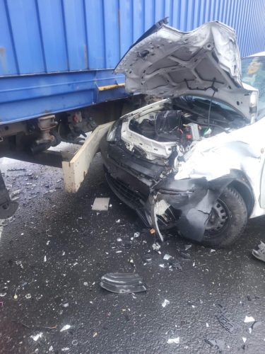 559297119 1143576907903003 8628337208753128499 n