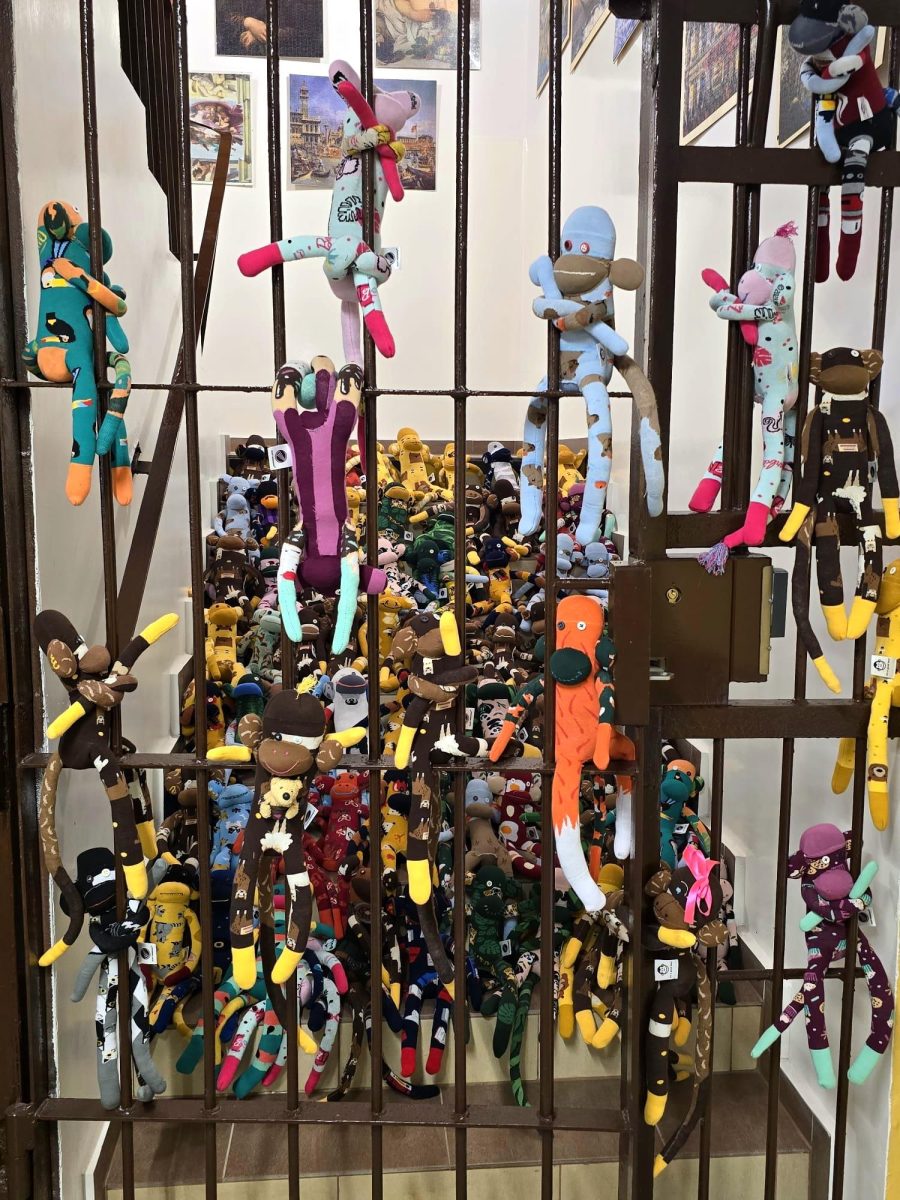 0 0 1500 2000 resize 84ce2452df62eb54cd64176a4a9b743593291719