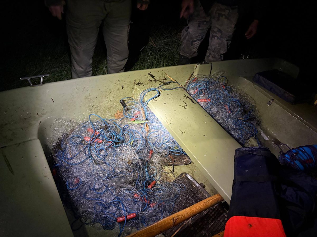 571263640 122246026904143341 8329456619521047646 n