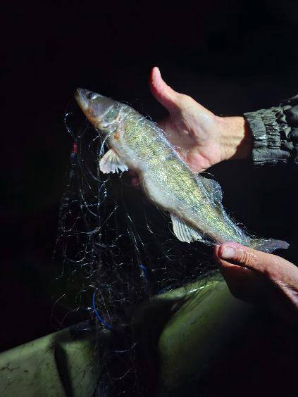 571286935 122246026382143341 2349295965610893129 n