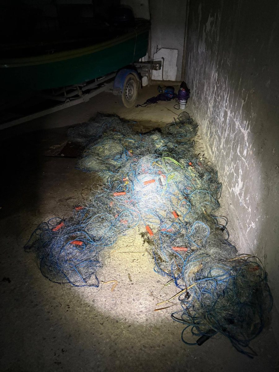 571346864 122246025434143341 3798125796308344125 n