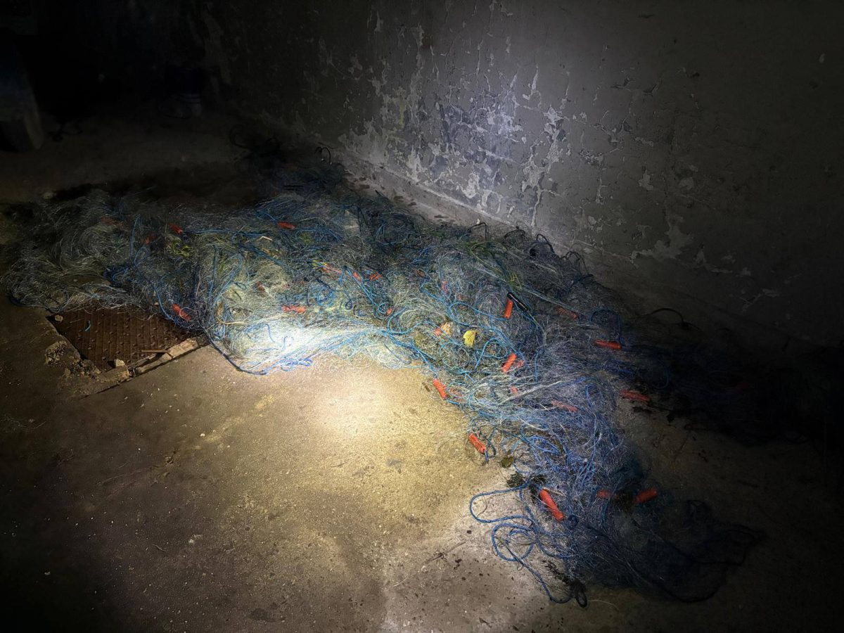 573548630 122246025482143341 6891399403587521128 n