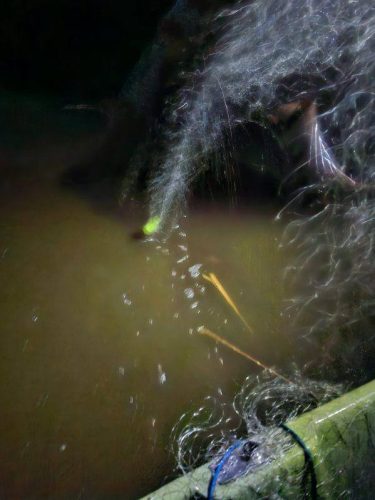 574025422 122246025626143341 7697021969956175565 n