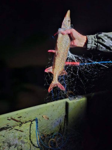 574573833 122246025812143341 6182674688020543337 n