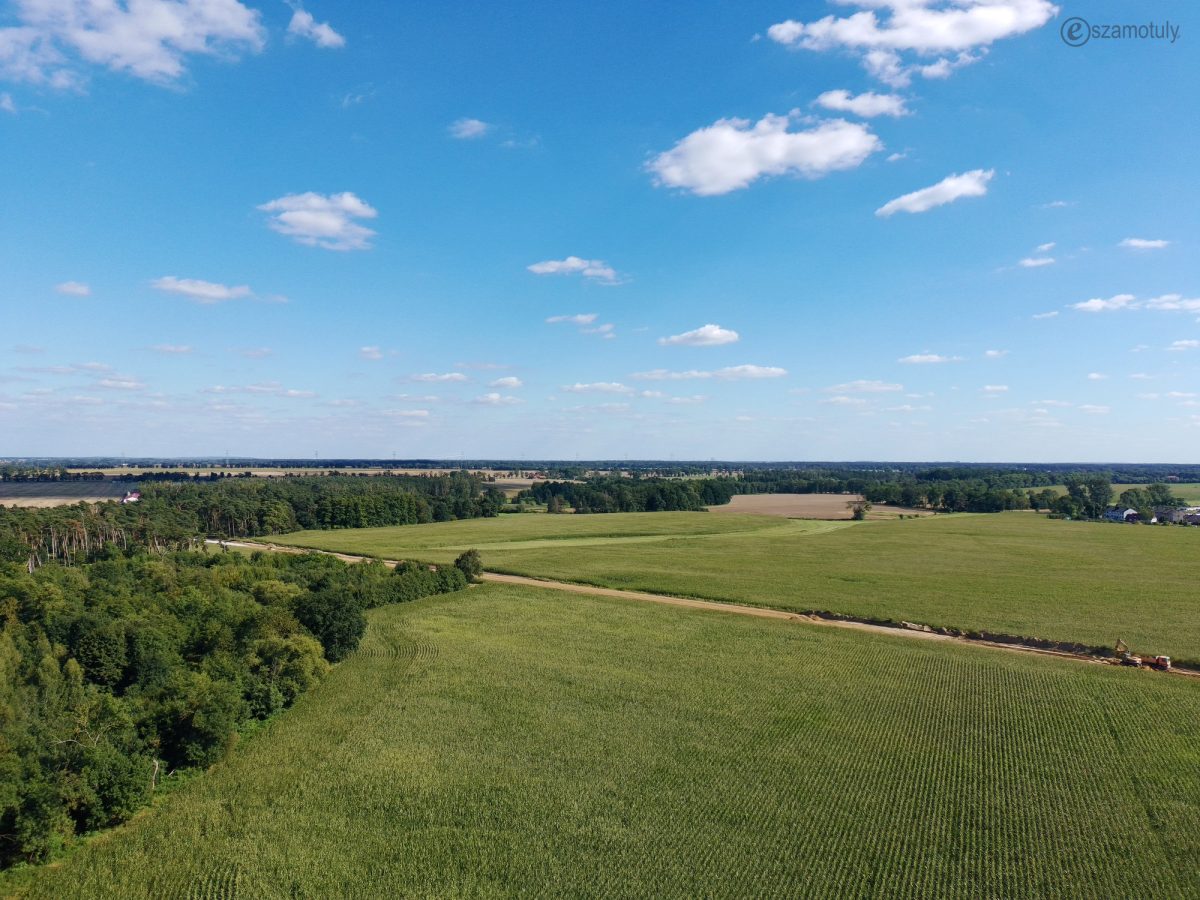 obwodnica-szamotul-08-2025-0001