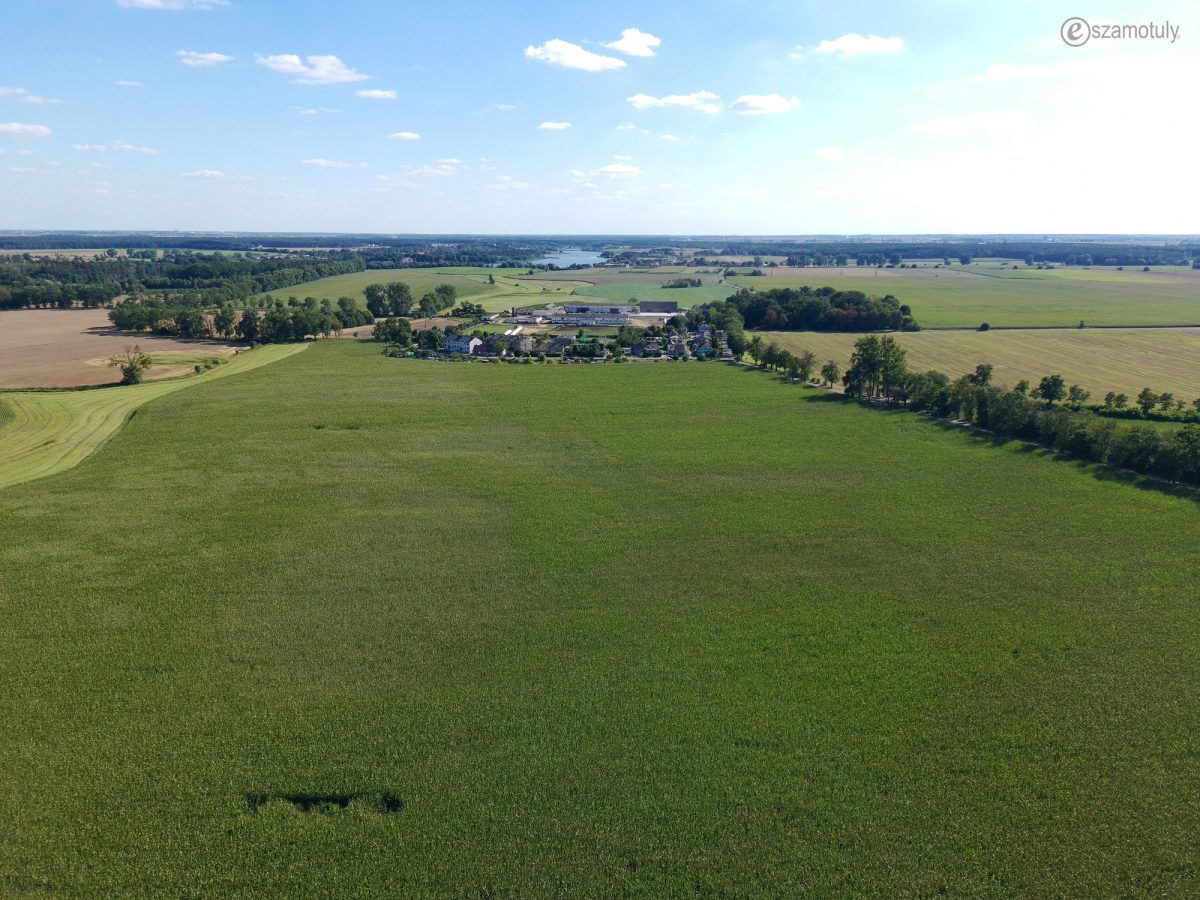 obwodnica-szamotul-08-2025-0012