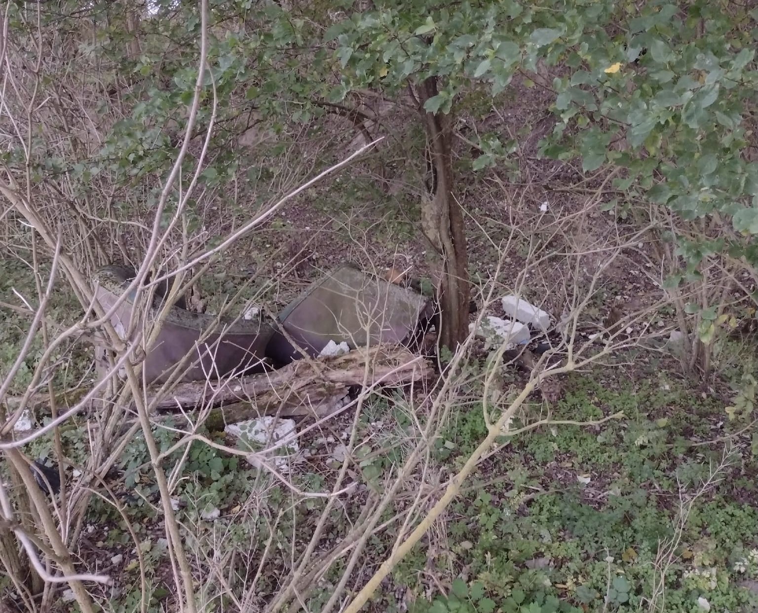 645712952 933124506336335 4327342212536569458 n