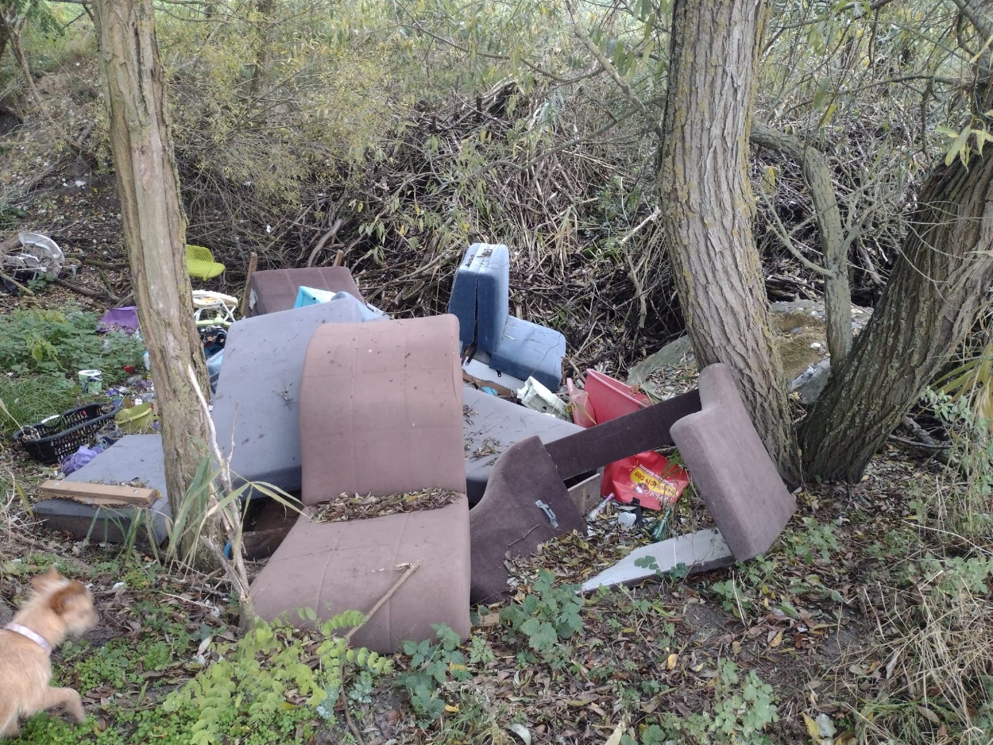 645721094 933123873003065 1641767052815759424 n