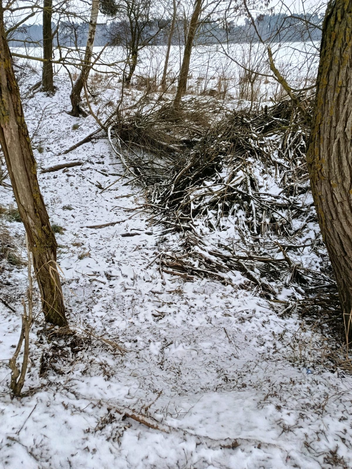 645866975 933123819669737 7404117468510569539 n