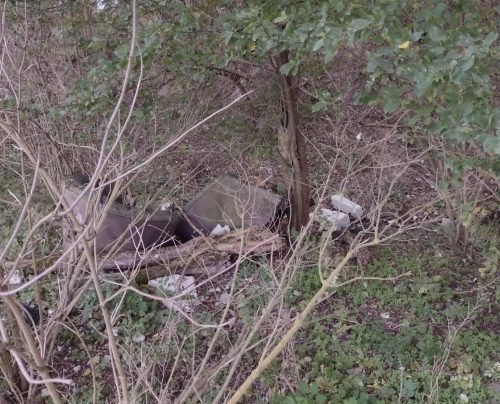 645712952 933124506336335 4327342212536569458 n