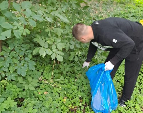 0 0 1125 893 resize 1ea9d2c7d1fac9fe3c4a3d7c861886b34334b031