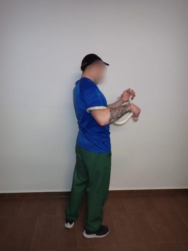 oswajanie-leku-ZK-Wronki-0005