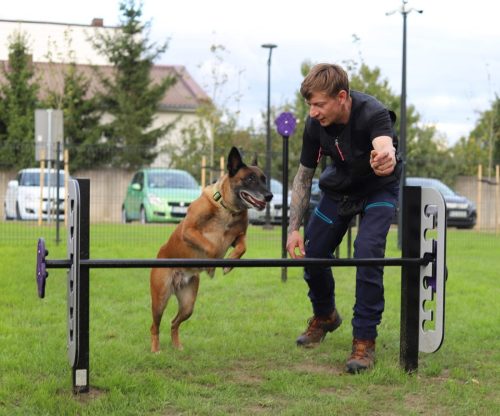 park-wronki-20250001