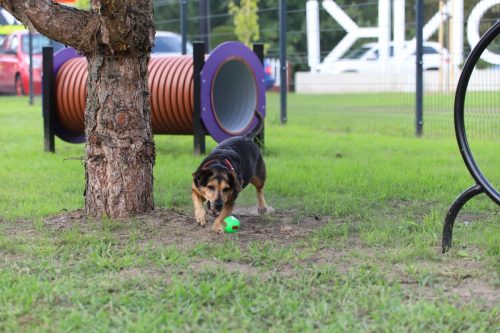 park-wronki-20250007