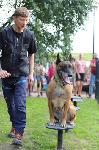 park-wronki-20250023