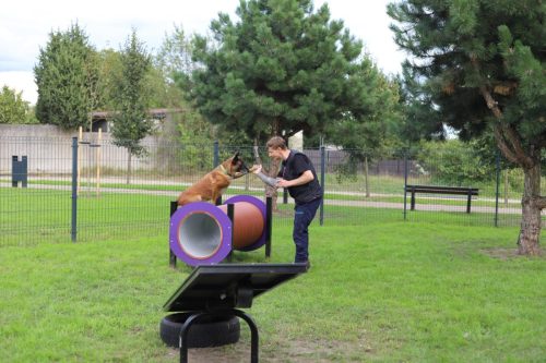 park-wronki-20250024