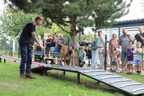 park-wronki-20250025