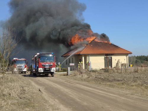 8883ae2e-207d-4773-a313-1ab40a9740c0-1