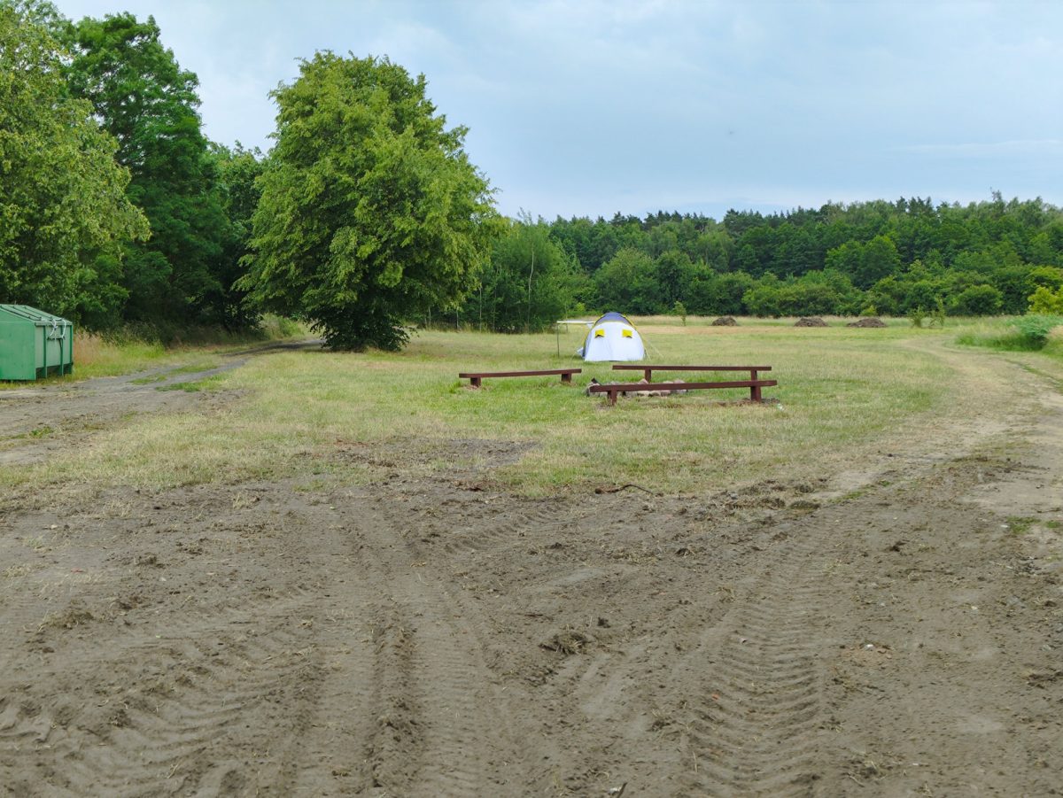 plaza-pamiatkowo-2025-0024
