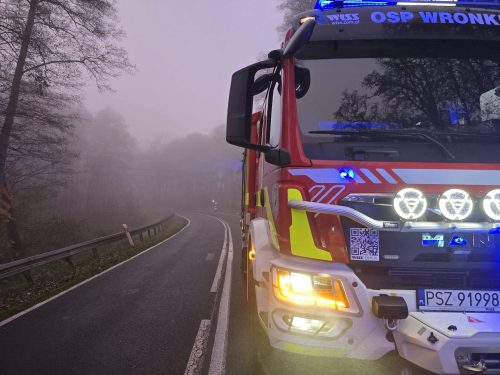 FB IMG 1762935831119