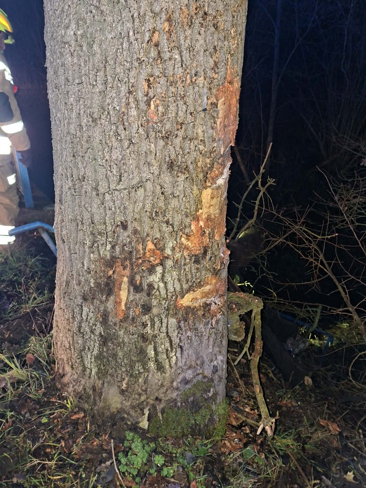 Business-Suite creation 1576302630238685