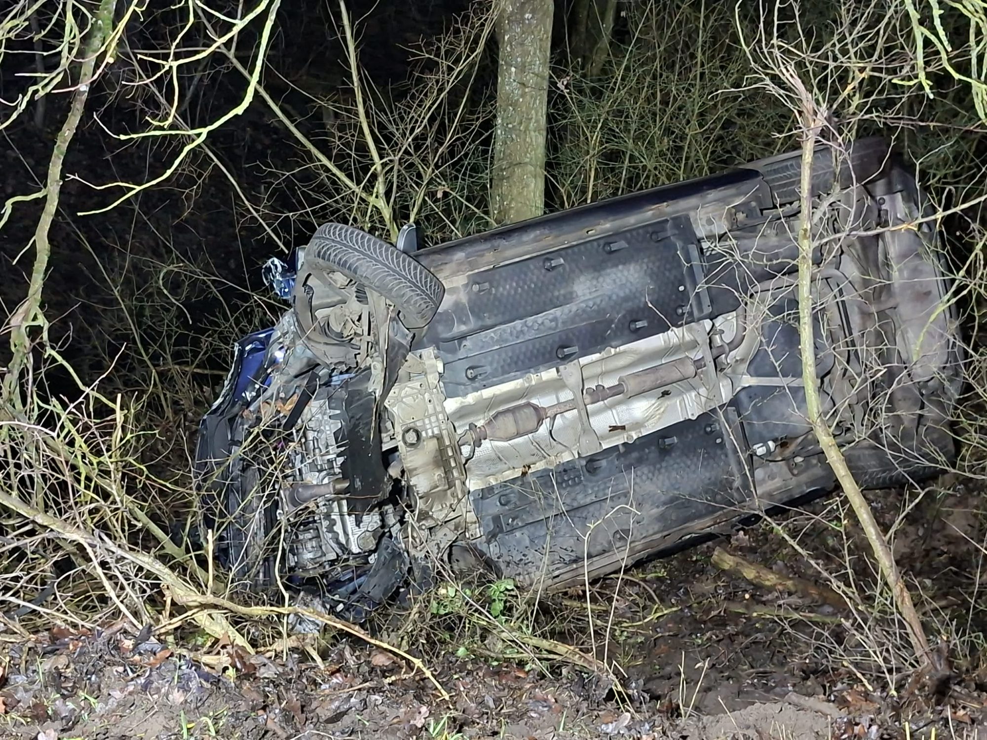 Business-Suite creation 800158423079366