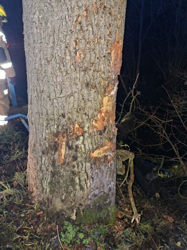 Business-Suite creation 1576302630238685