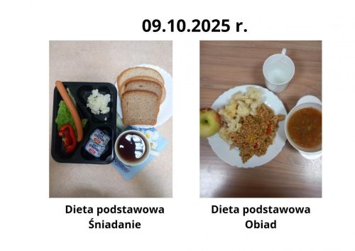 c009e7db7b19cf3ef158e054051e095a6b1cba07