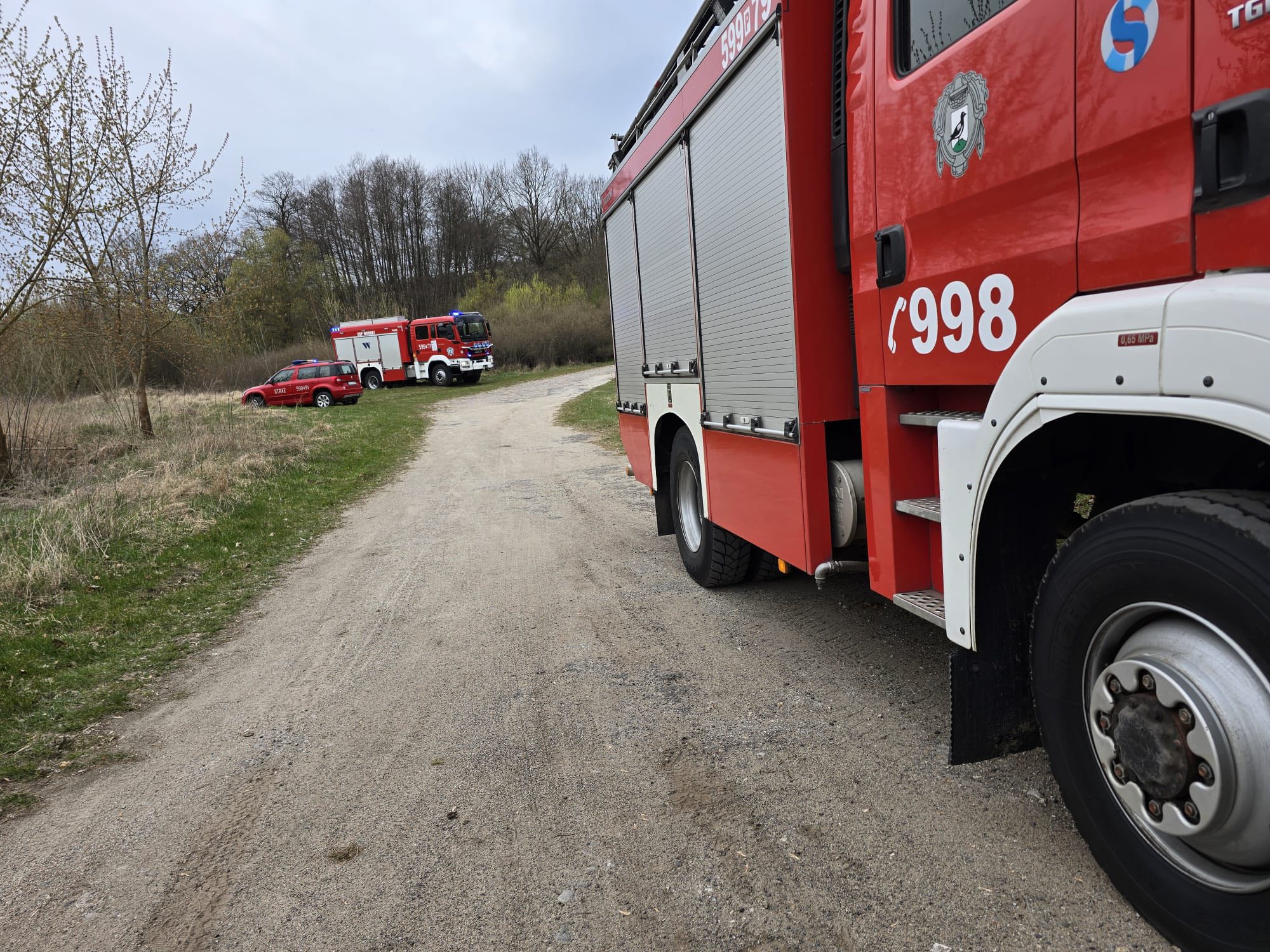 668836633 1292488056345220 6859786541681713814 n-1