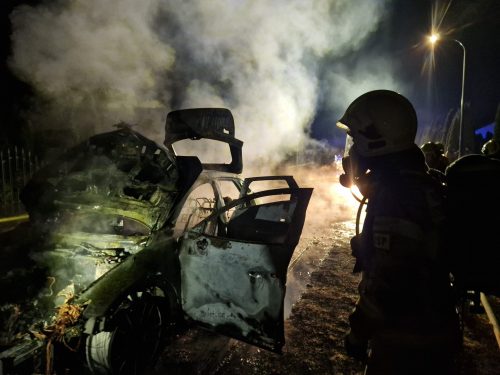 651283831 1342159641286781 7396298231574859450 n