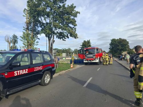 553927361 808229538659445 1484047301642968198 n