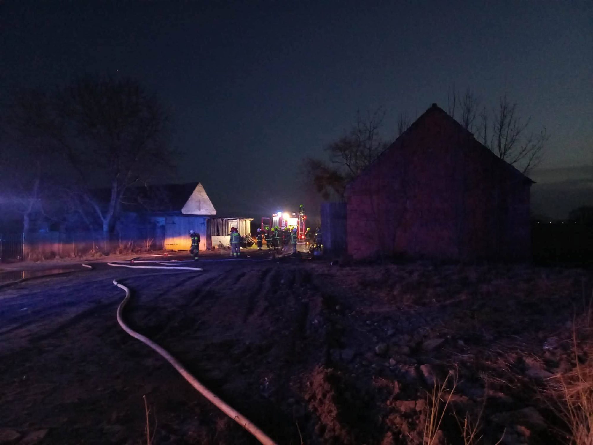 FB IMG 1773036342429