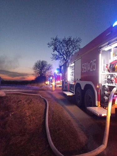 FB IMG 1773036334310