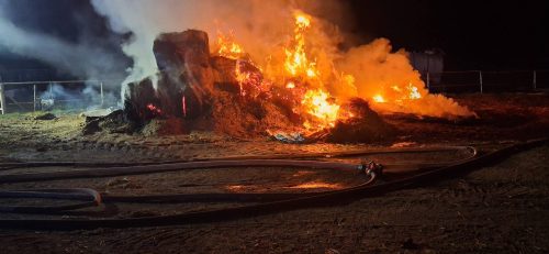 08bf0d6f3-ebb8-4cd0-84a3-b12b83ea67d1